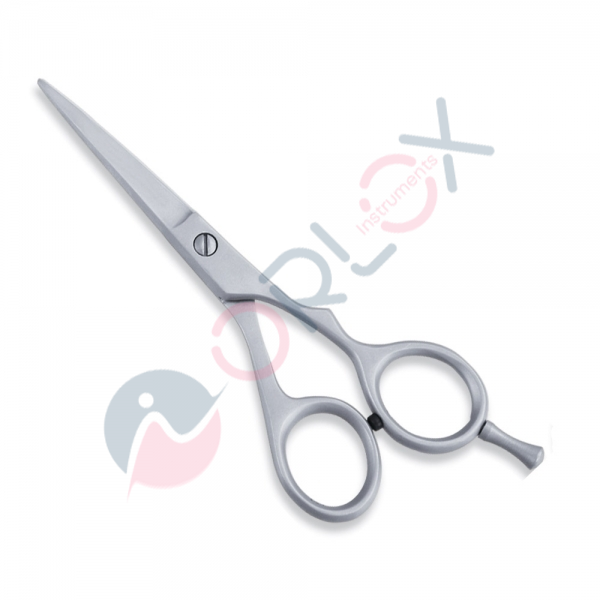 Economy Scissor